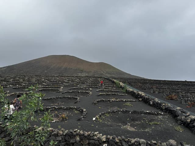 Photo 12 by Kestutis N. about hiring a Peugeot 2008 at Lanzarote Airport (03/01/26)