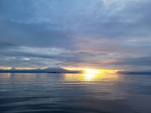 Photo by Noah H. (11/25/24)