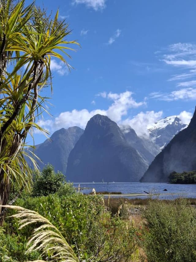 Photo by Paul W. (2/15/26)