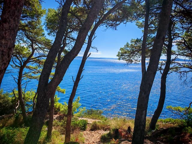 Zdjęcie 3 wykonane przez Maciej G. (10.10.25)