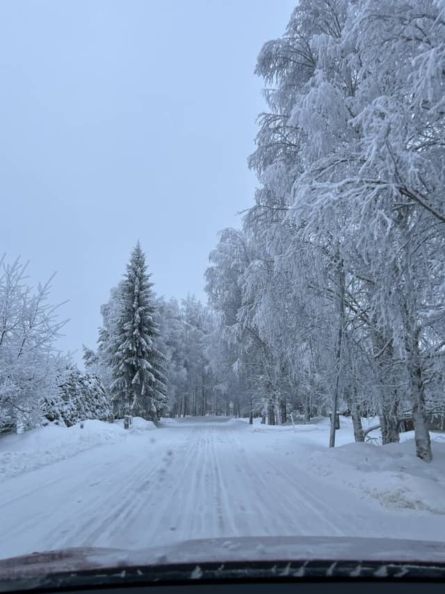 Photo 3 by Hugo L. (2/2/26)