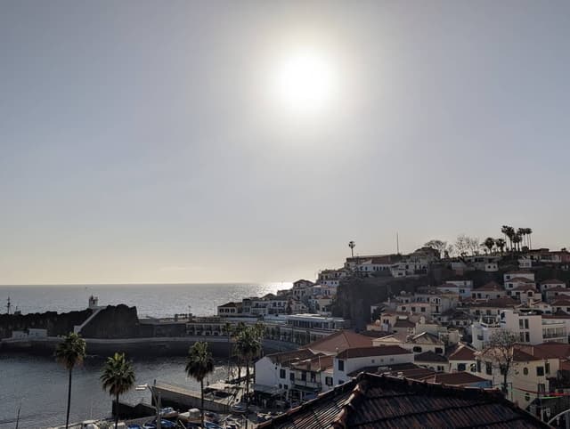 Photo 6 by Stephen Angus M. (3/7/26)