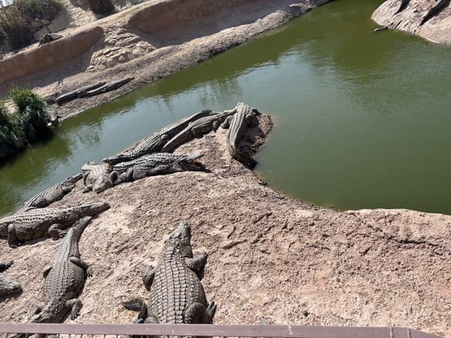 Photo 5 par Philippe D. (24/03/26)