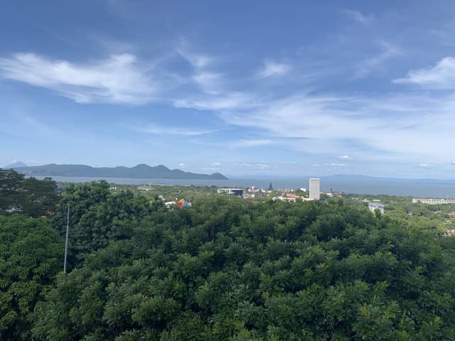 Photo 10 by Michal G. (11/15/25)