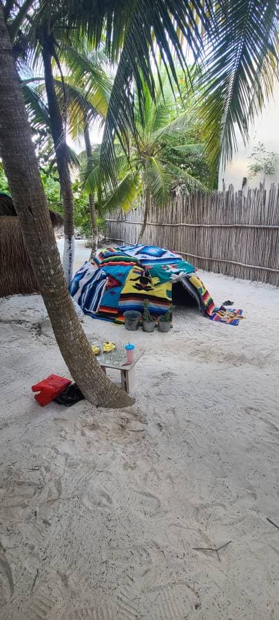 Photo 8 by Matthew S. (1/11/24)