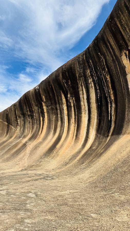 Photo 5 by Soma S. (10/31/25)