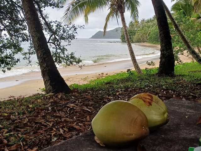 Photo 3 by Martine C. (1/26/24)