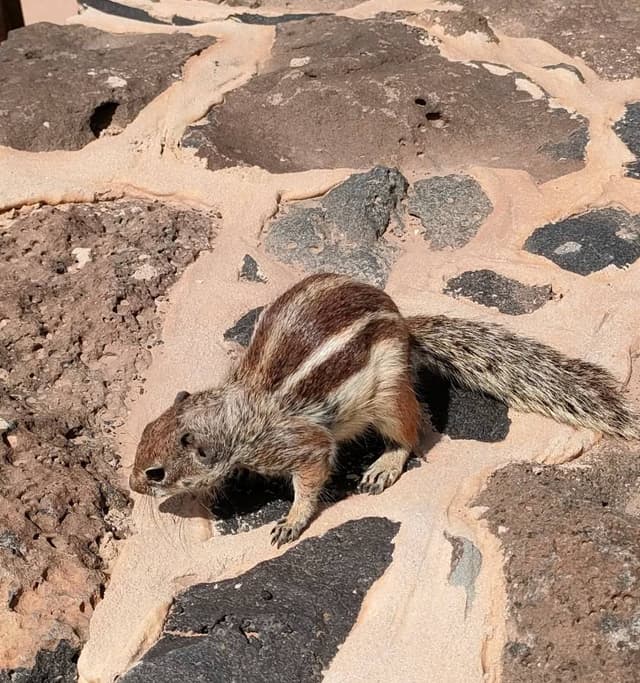 Photo 4 par Christian M. (18/03/25)