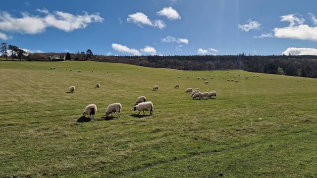 Foto 4 de Lidia E. (22/4/26)