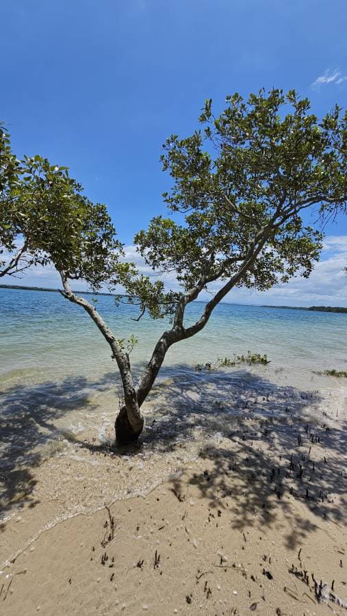 Photo 3 by Thomas E. (2/4/26)