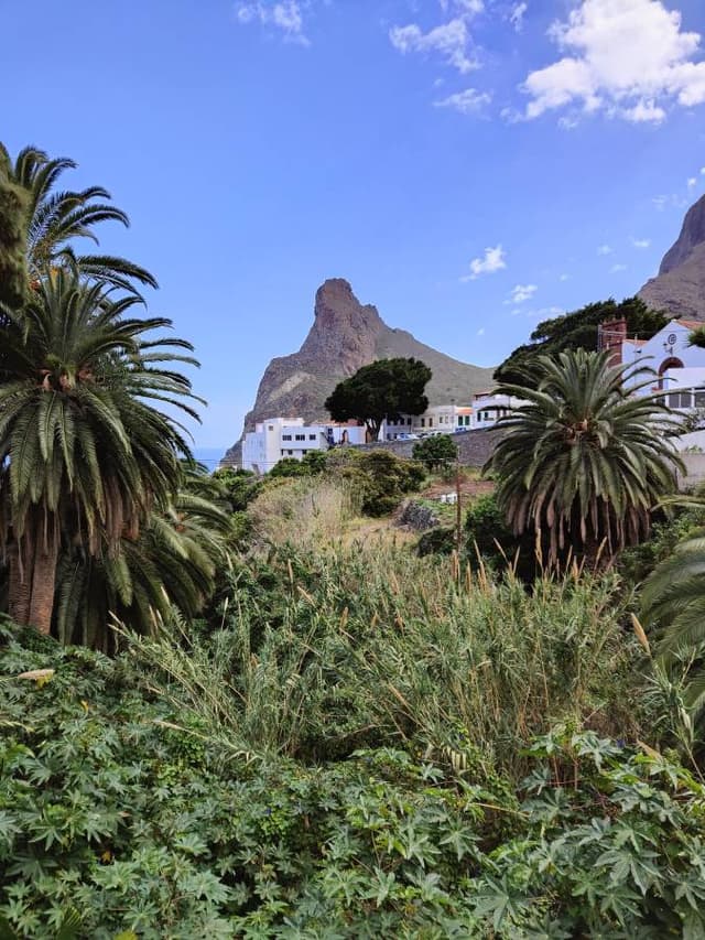 Foto 5 von Jan V. über die Anmietung eines Citroen C3 auf Teneriffe (31.3.24)