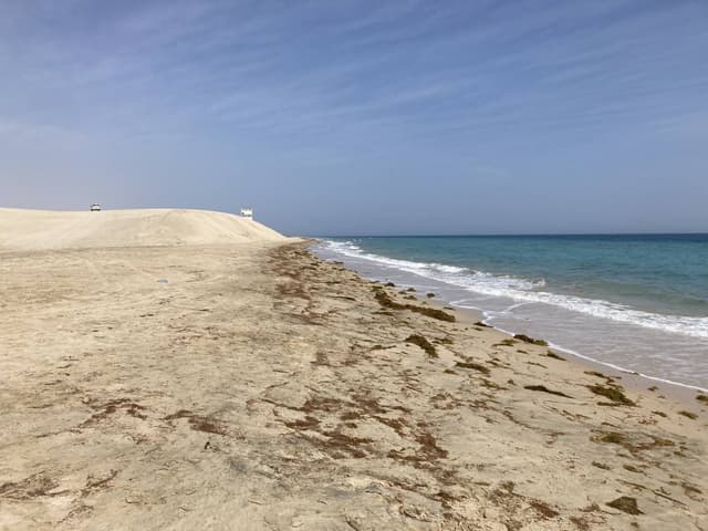 Photo 3 by Kollol A. about renting a Renault Logan in Qatar (2/16/24)