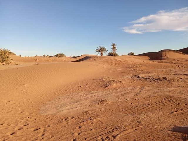 Photo 12 par Gilbert C. (28/01/26)