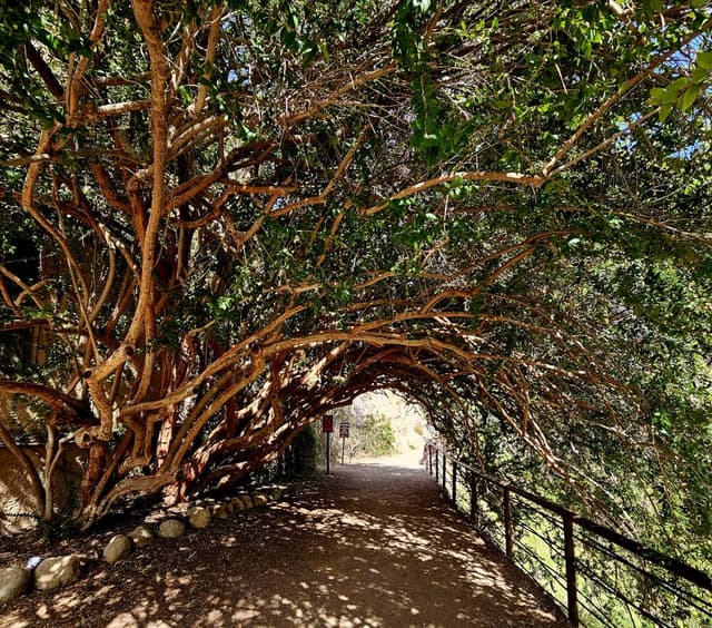 Photo 2 by SAIFUL B. (4/14/25)