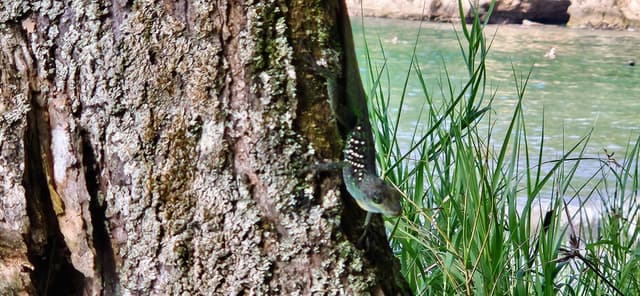 Photo 2 par Mario D. (28/10/23)