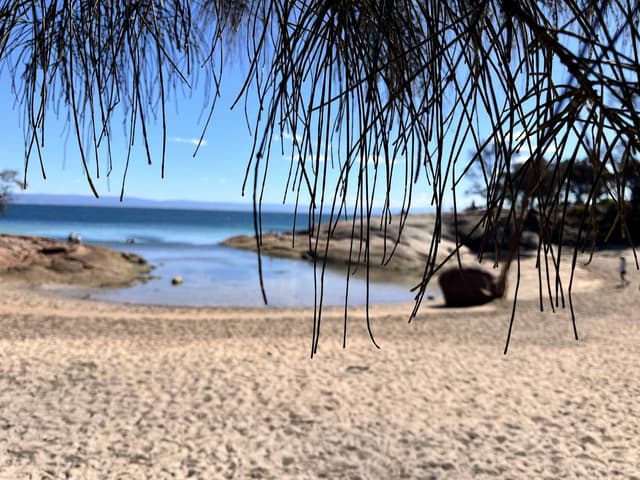 Photo 3 by Robert J. (3/24/26)