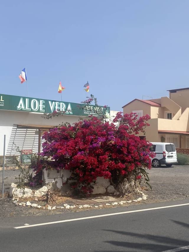 Photo by IAN P. about hiring a Volkswagen Taigo at Fuerteventura Airport (23.07.24)