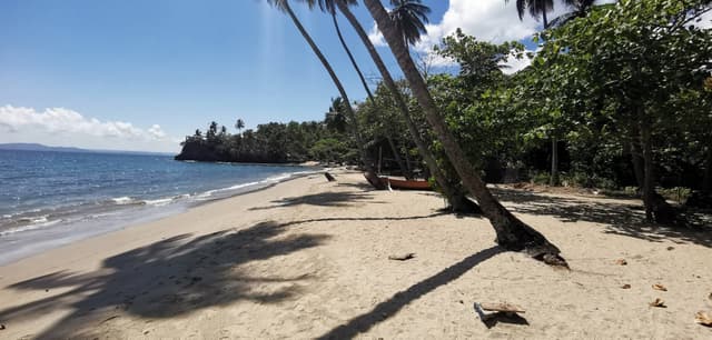 Photo 5 par Patrick L. (22/03/24)