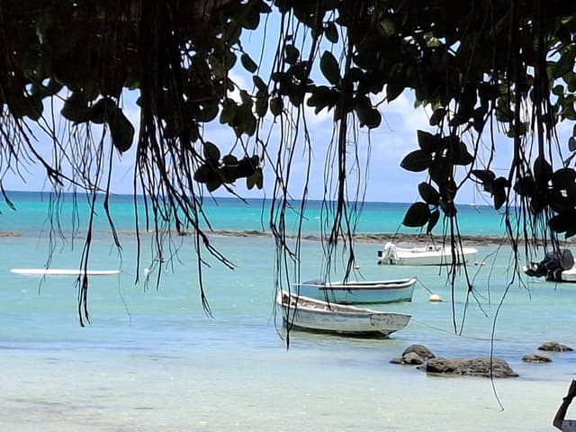 Photo 5 by Gerard T. (12/3/25)