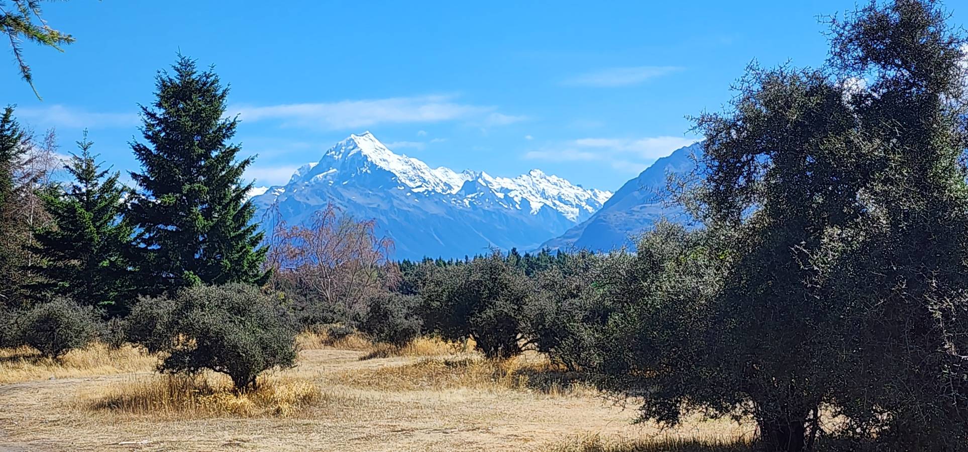 Photo 6 by Chetan D. (1/26/24)