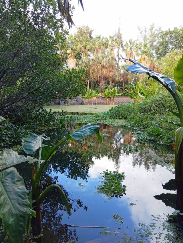 Foto 15 di Massimo D. (04/01/26)