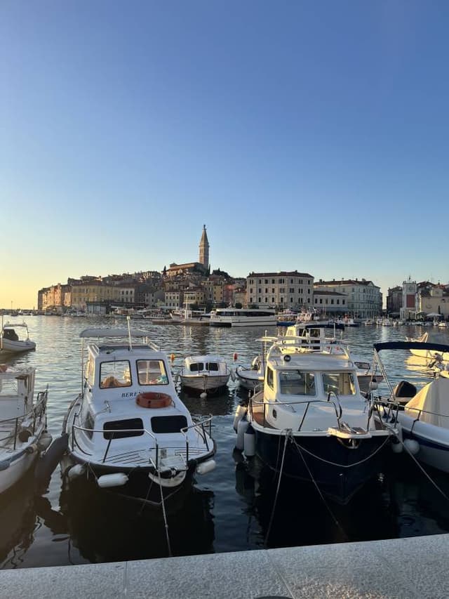 Photo 7 by John B. (10/18/25)