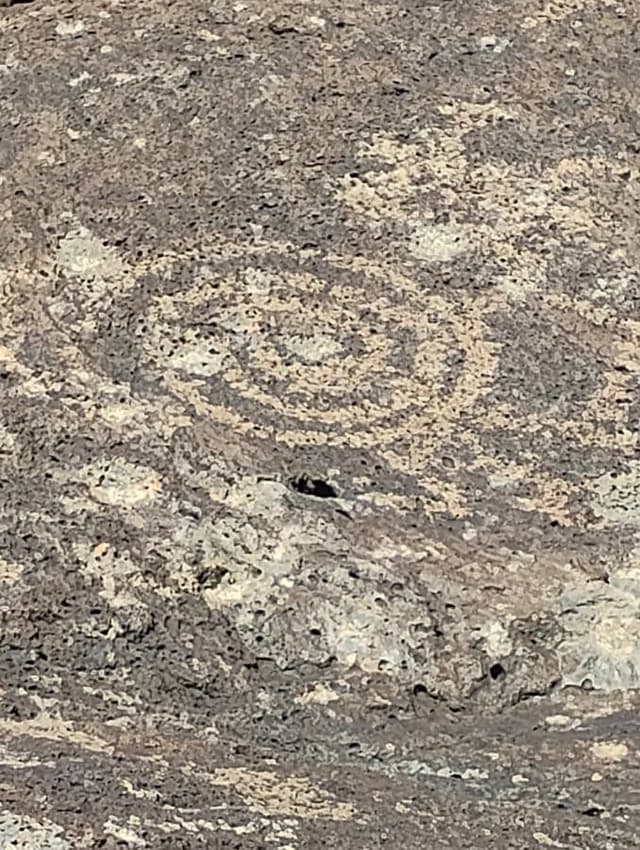 Photo 12 by Martina S. (2/18/26)