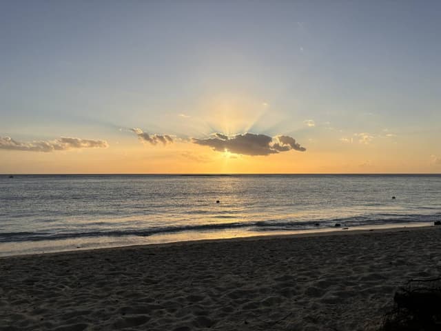 Photo 7 by Christopher K. about renting a Suzuki Swift at Mauritius Airport (8/17/24)