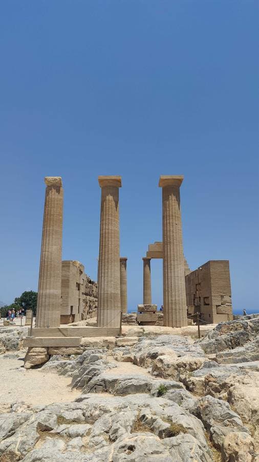 Photo 2 by Ervins T. (6/25/25)