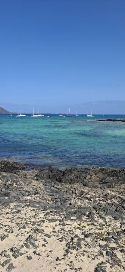 Foto 7 van Geert S. (7-3-26)