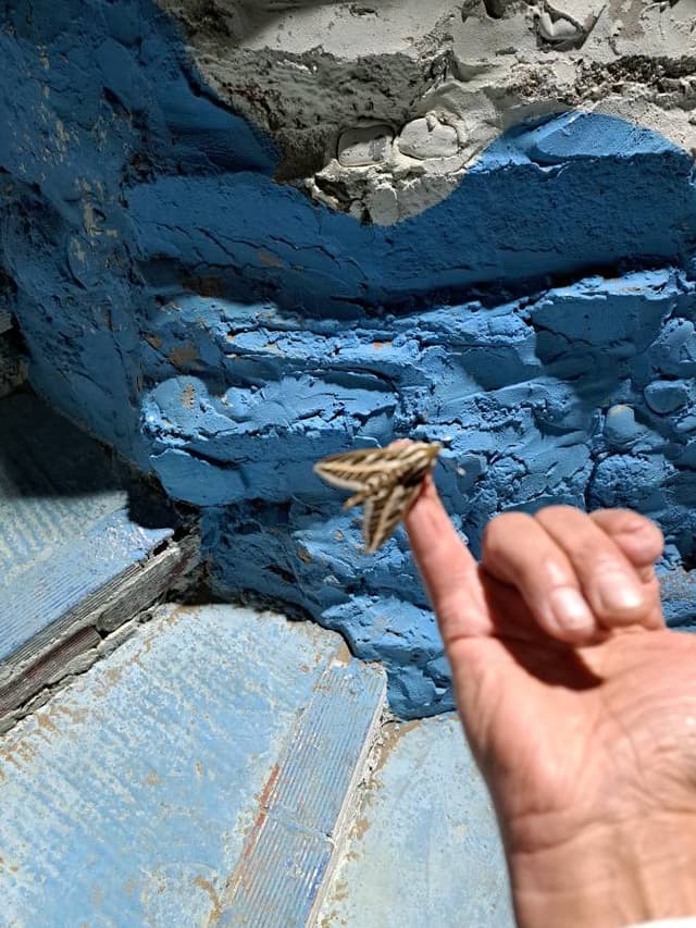 Foto 5 di abdelkbir E. (24/05/25)