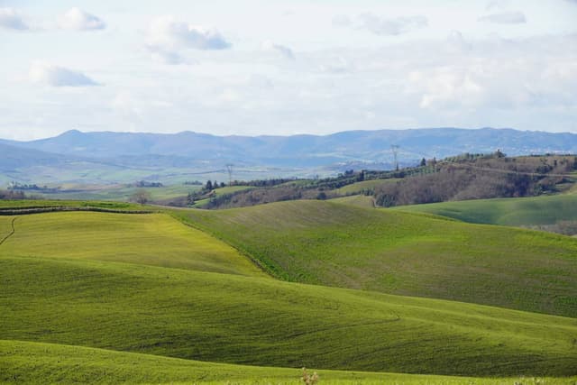 Photo 4 by Eduardo S. (2/3/26)