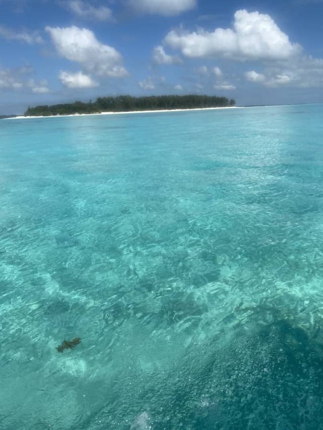 Photo 8 par Samira A. sur la location d'un Skoda Kodiaq à Zanzibar (09/03/24)