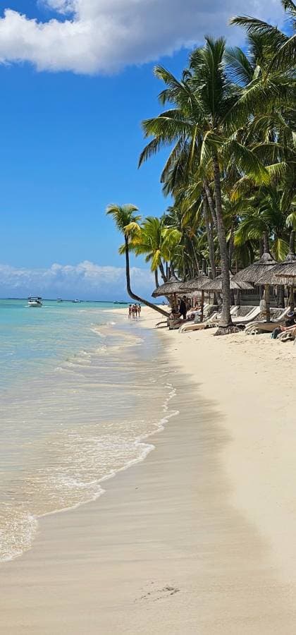 Photo 1 by Krzysztof W. about renting a Perodua Axia in Le Morne Peninsula (1/20/25)