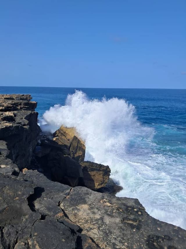 Foto 2 van Thomas V. (25-3-26)