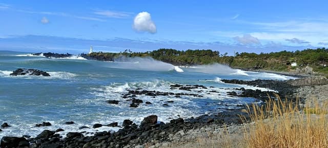 Photo 12 by Mohan S. (4/14/26)