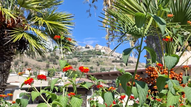 Billede 10 af Thomas Tofthoj Rasmussen R. (25.9.25)