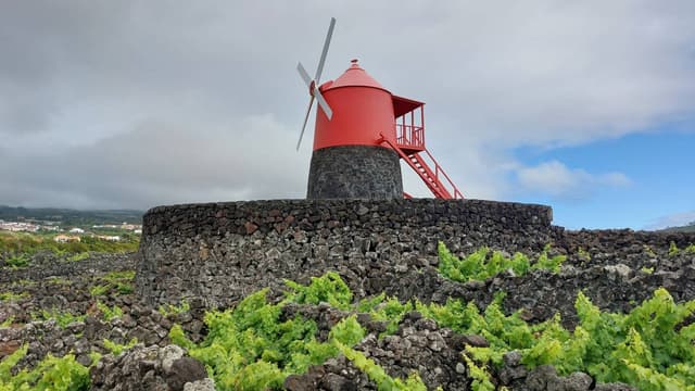 Foto 3 de Antonio G. sobre o aluguer de um Renault Twingo em São Jorge (27/06/25)