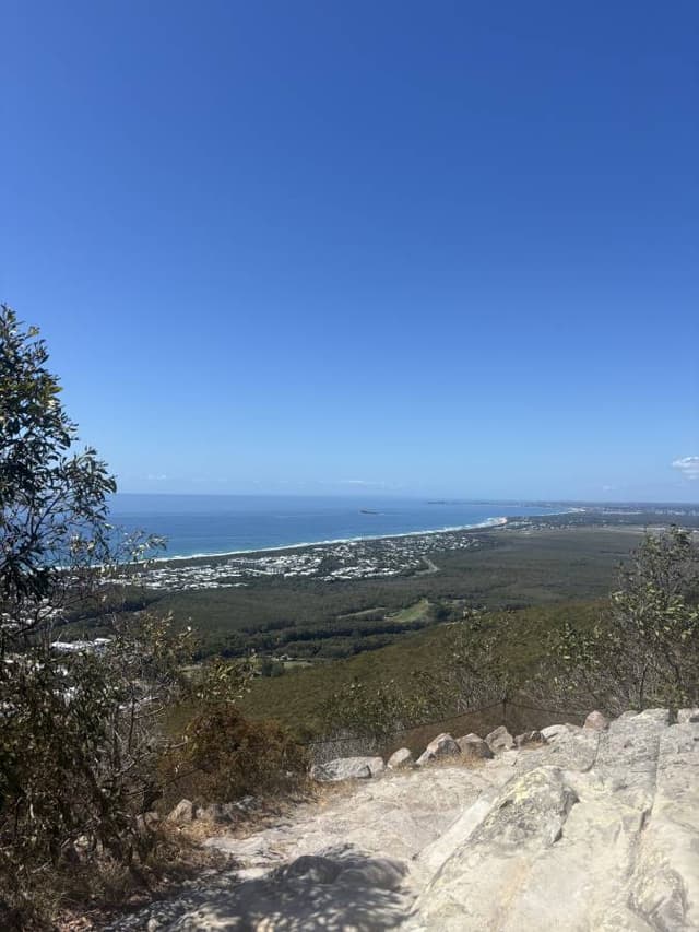 Photo 4 by Abbey P. (10/18/25)