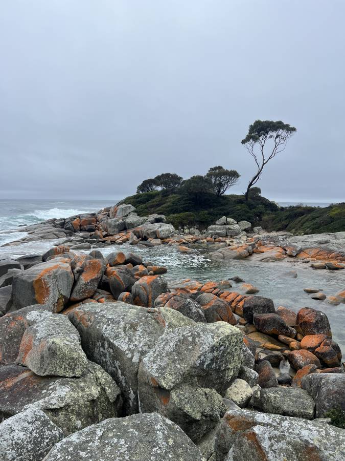 Photo 3 by Jack W. (12/30/23)