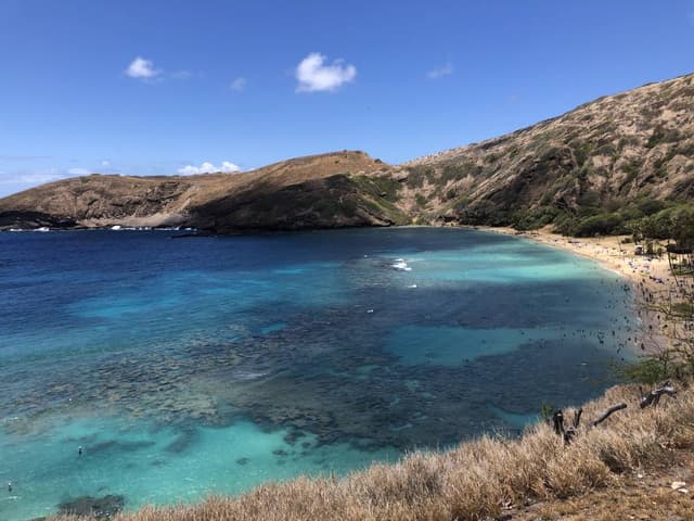 Photo 2 by Suzanne B. (8/19/23)