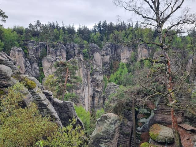 Photo 4 by Sagi A. about renting a Toyota Yaris Cross in Czech Republic (4/15/24)