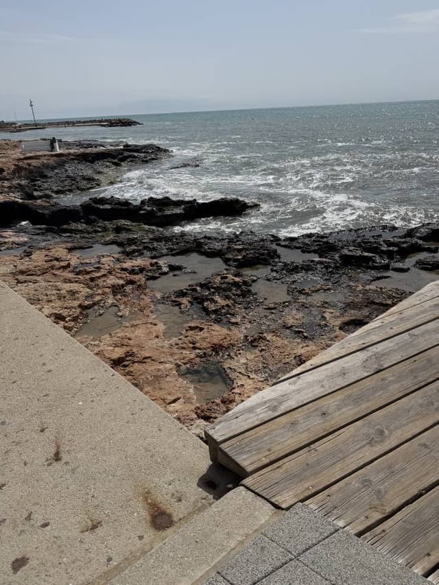 Photo by Nicholas C. (4/30/26)