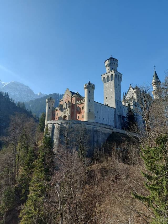 Gabor Tibor T. 7. számú fényképe (26. 03. 25.)