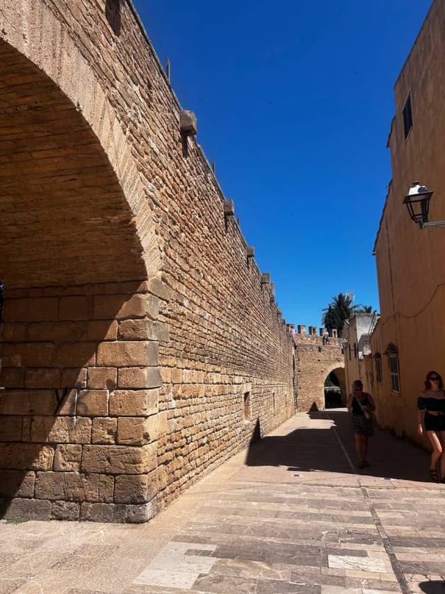 Foto 13 di Federico Eros B. sul noleggio di una Suzuki Celerio in Spagna - alle Isole Baleari (26/06/24)