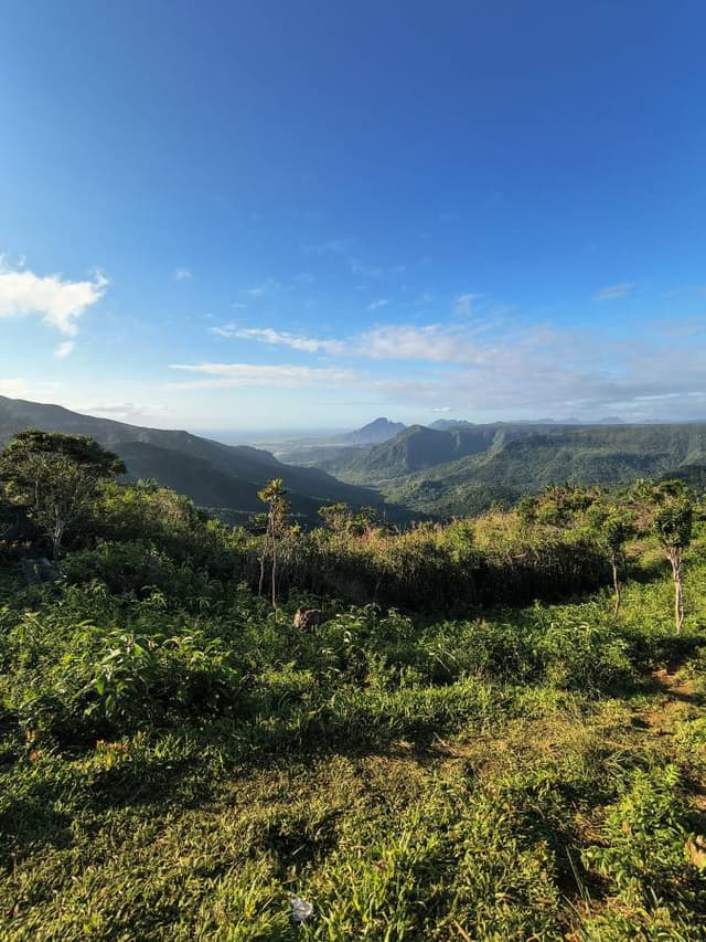 Foto 5 van Judith D. over het huren van een Suzuki S-Presso in Plaisance (22-9-25)