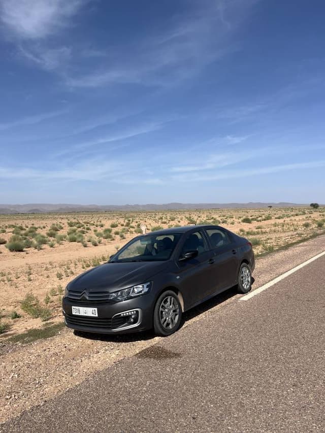 Photo 6 by Tomasz P. (11/13/24)