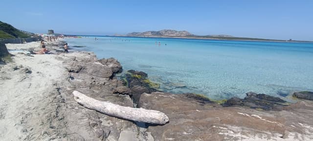 Photo 6 by Giorgio L. about renting a Fiat Panda at Alghero Fertilia Airport (5/27/25)