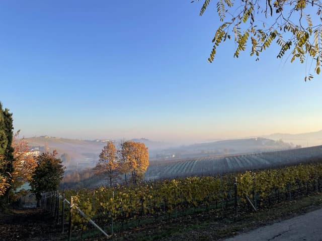 Photo 4 by Tymofii S. about renting a Fiat 500 in Bergamo (2/2/25)