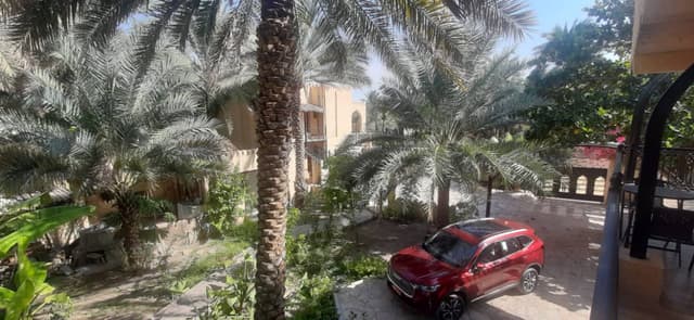 Zdjęcie 8 wykonane przez Adrian K. (4.11.25)